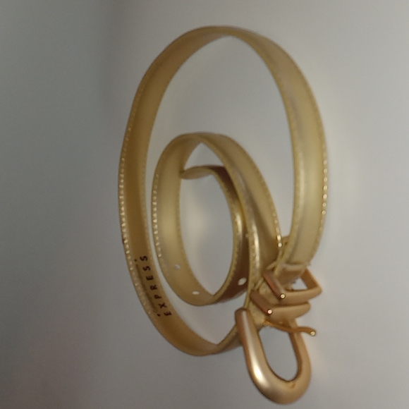 Brand new Express belt - Picture 1 of 8
